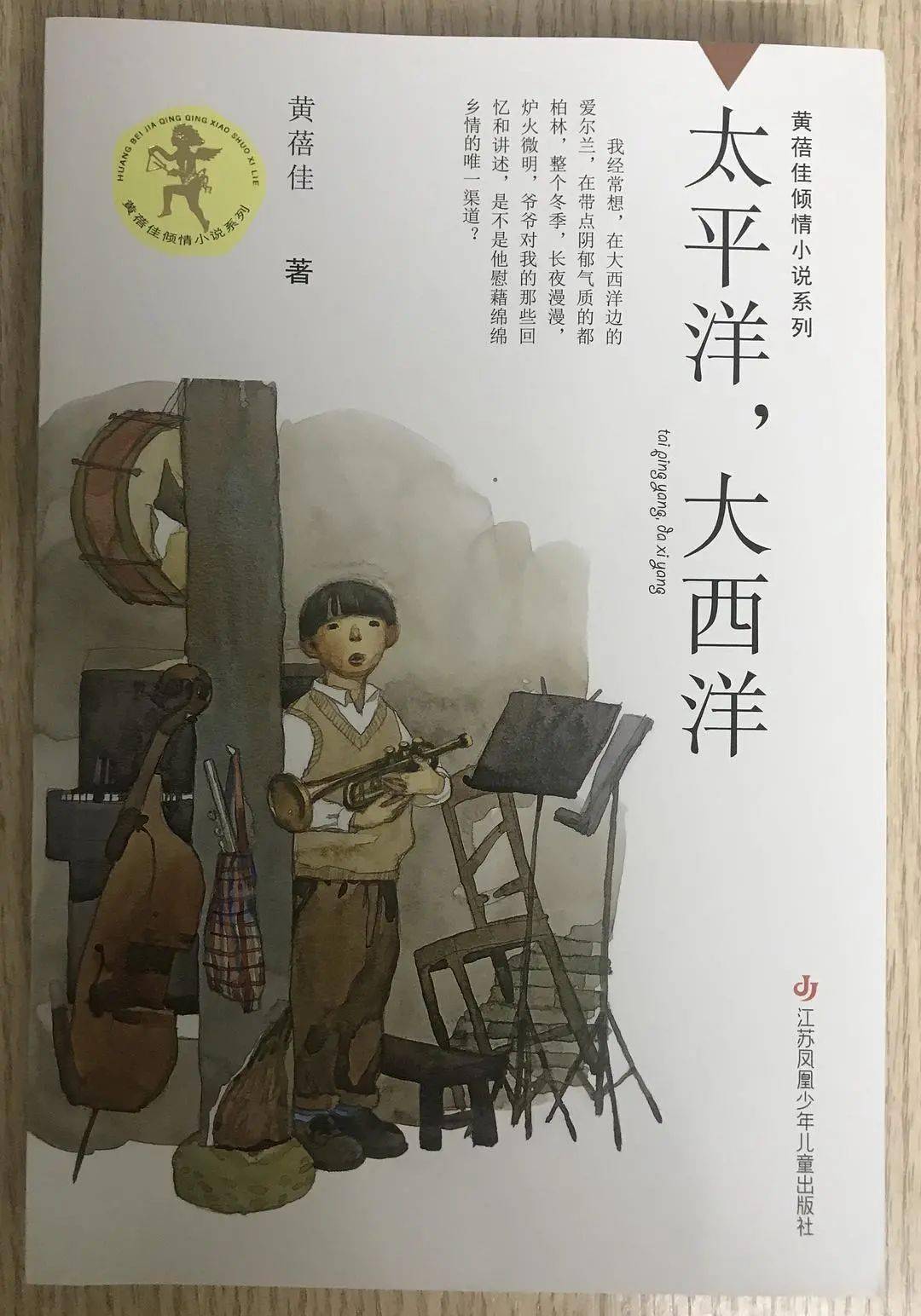 黃蓓佳作品《野蜂飛舞》《太平洋,大西洋》實際上,與歷史相對的,是