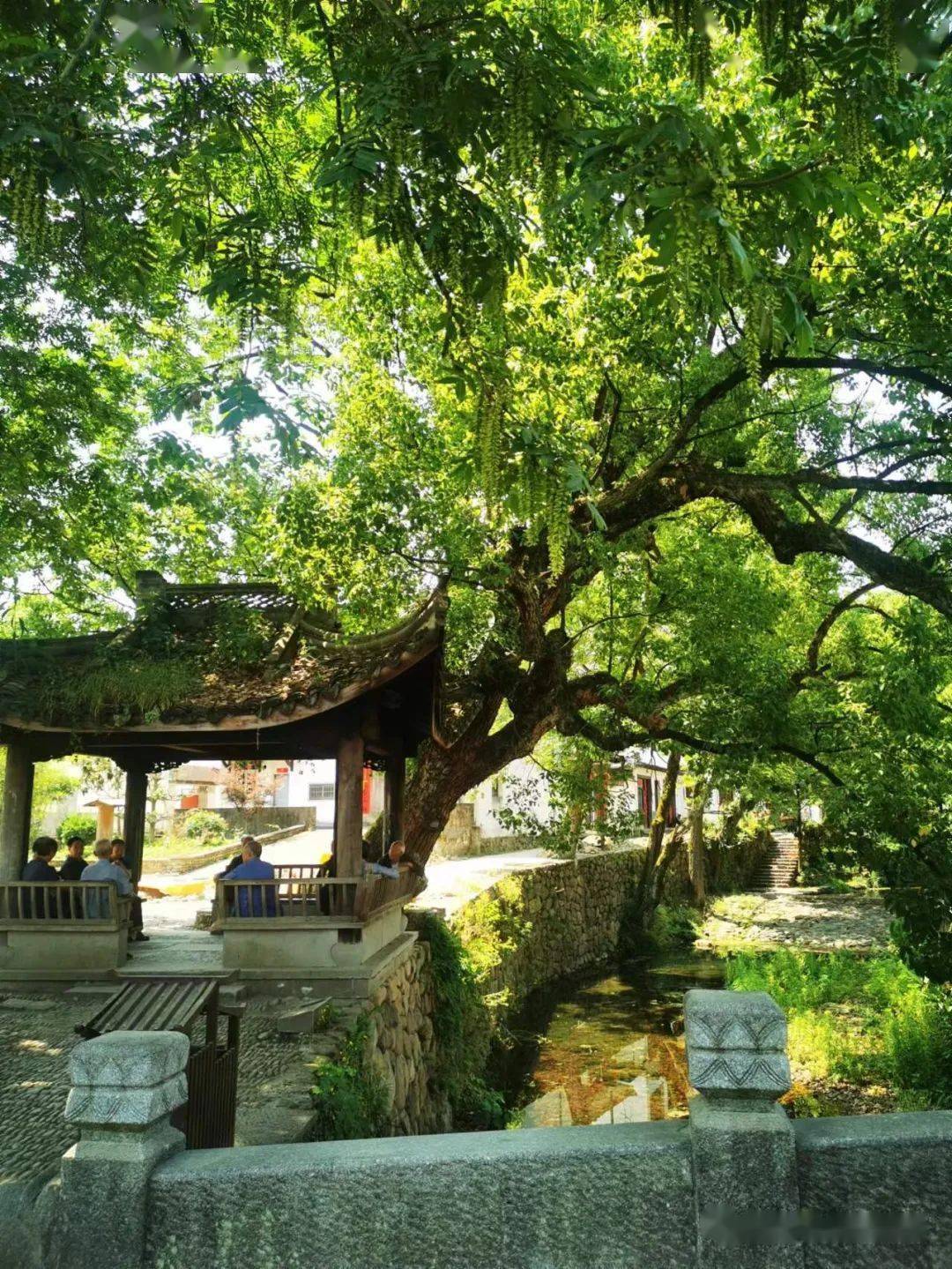 走龙门古镇品岁月静好