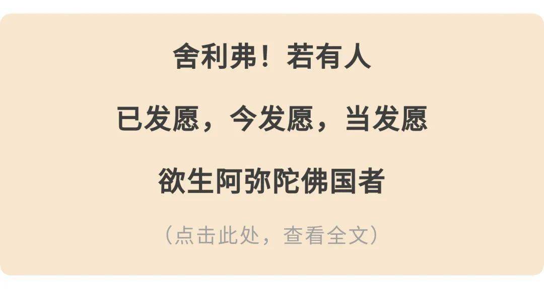 圣经中提到信心的经文在哪(圣经里信心)