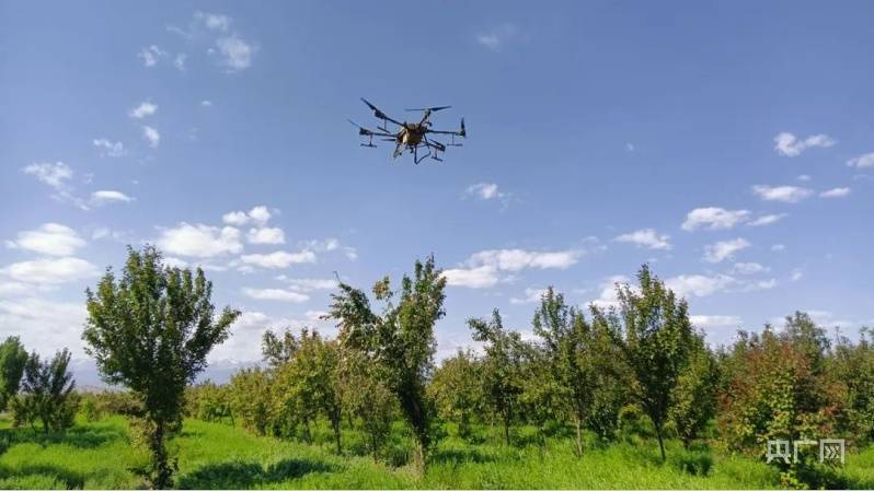 吉木萨尔：植保无人机助力农业生产提质增效