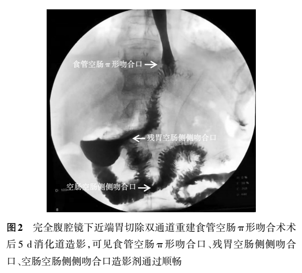 空肠实验报告图图片