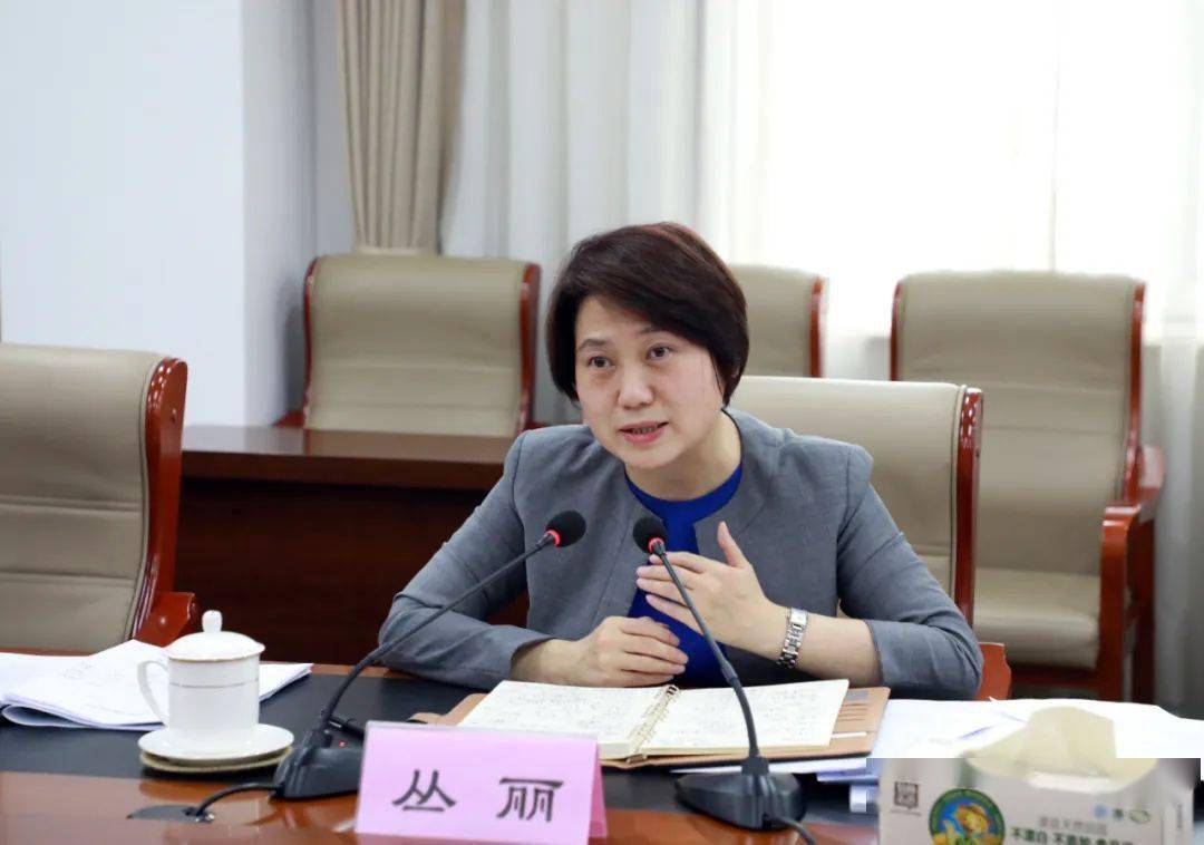 丛丽精准发力全力抓好经济运行推动各项目标任务实现新突破