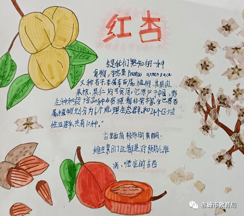 第三小组 家具根雕杏树根雕,生活中并不常见,于是想上网找些图片以ppt