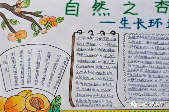 在成果展示时,小组结合思维导图,美篇对杏树生态特征和生长环境进行了