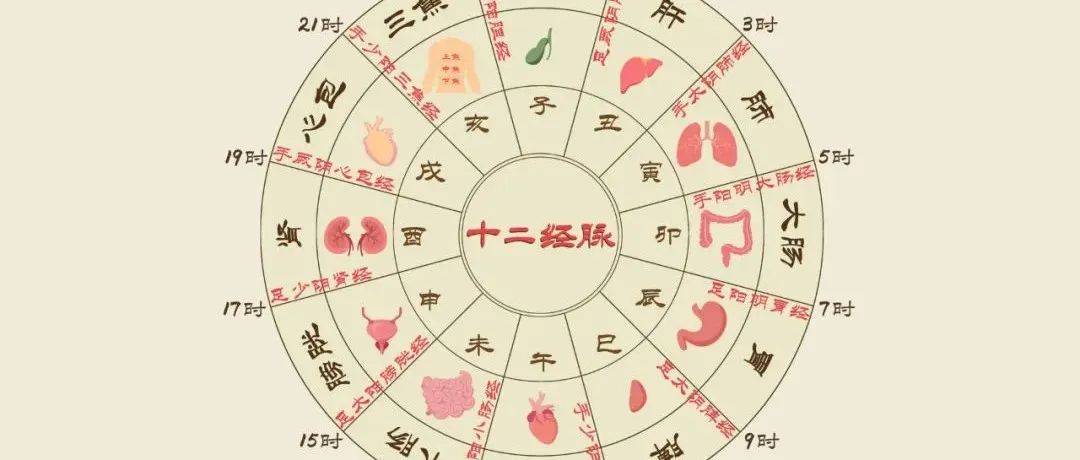 这张养生表,建议您背下来!_人体_膀胱_时辰