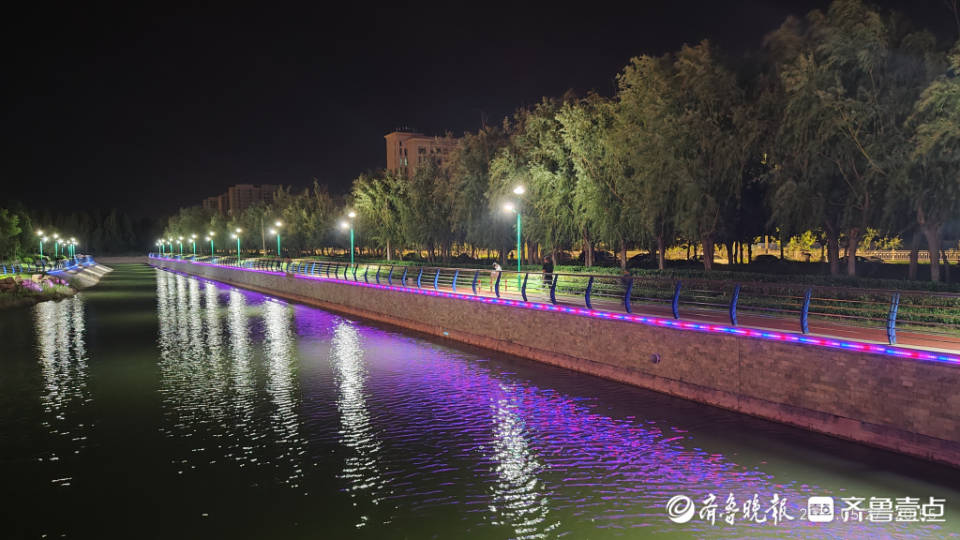 阳谷谷山公园夜色美