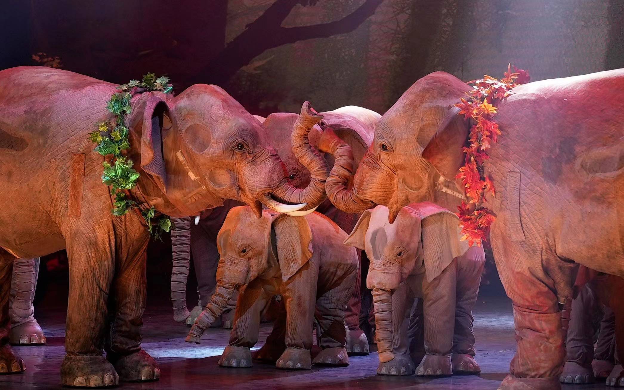 中国木偶艺术剧院复工倒计时大象来了端午节假期迎首演