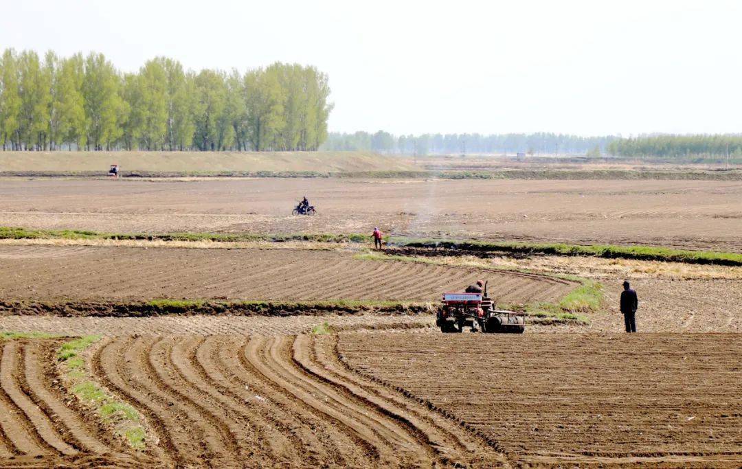 摄影|| 田立春《耕种》_旱田_农田_农药