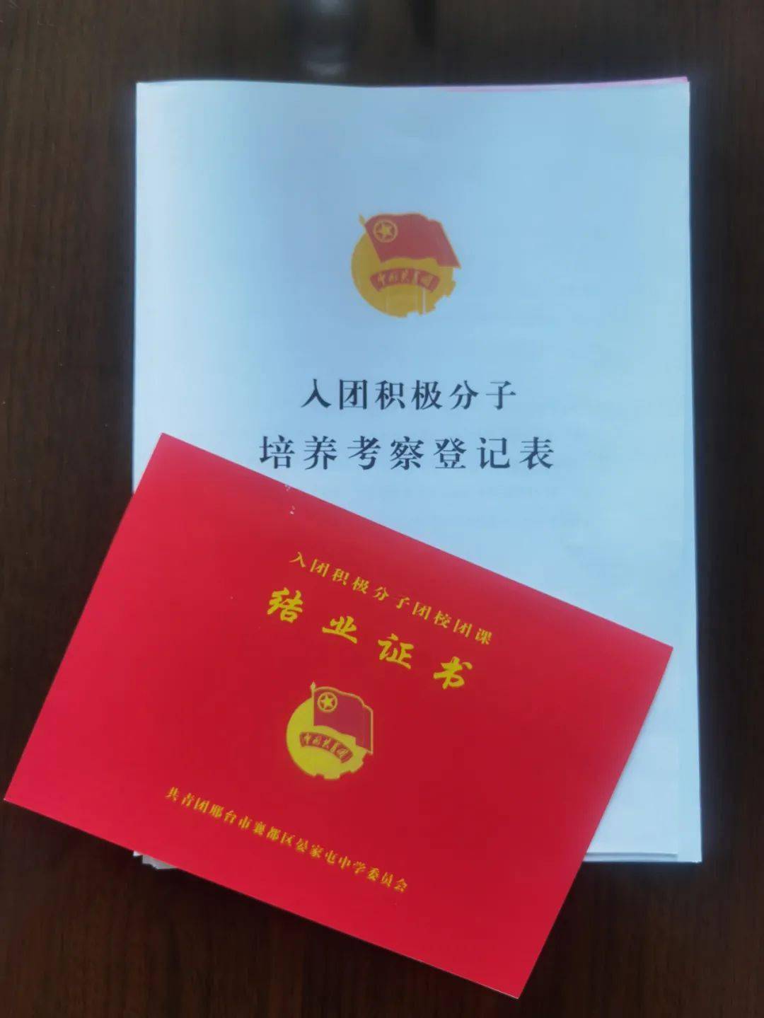 晏家屯中学团委 | 组织入团积极分子开展团课结业考试