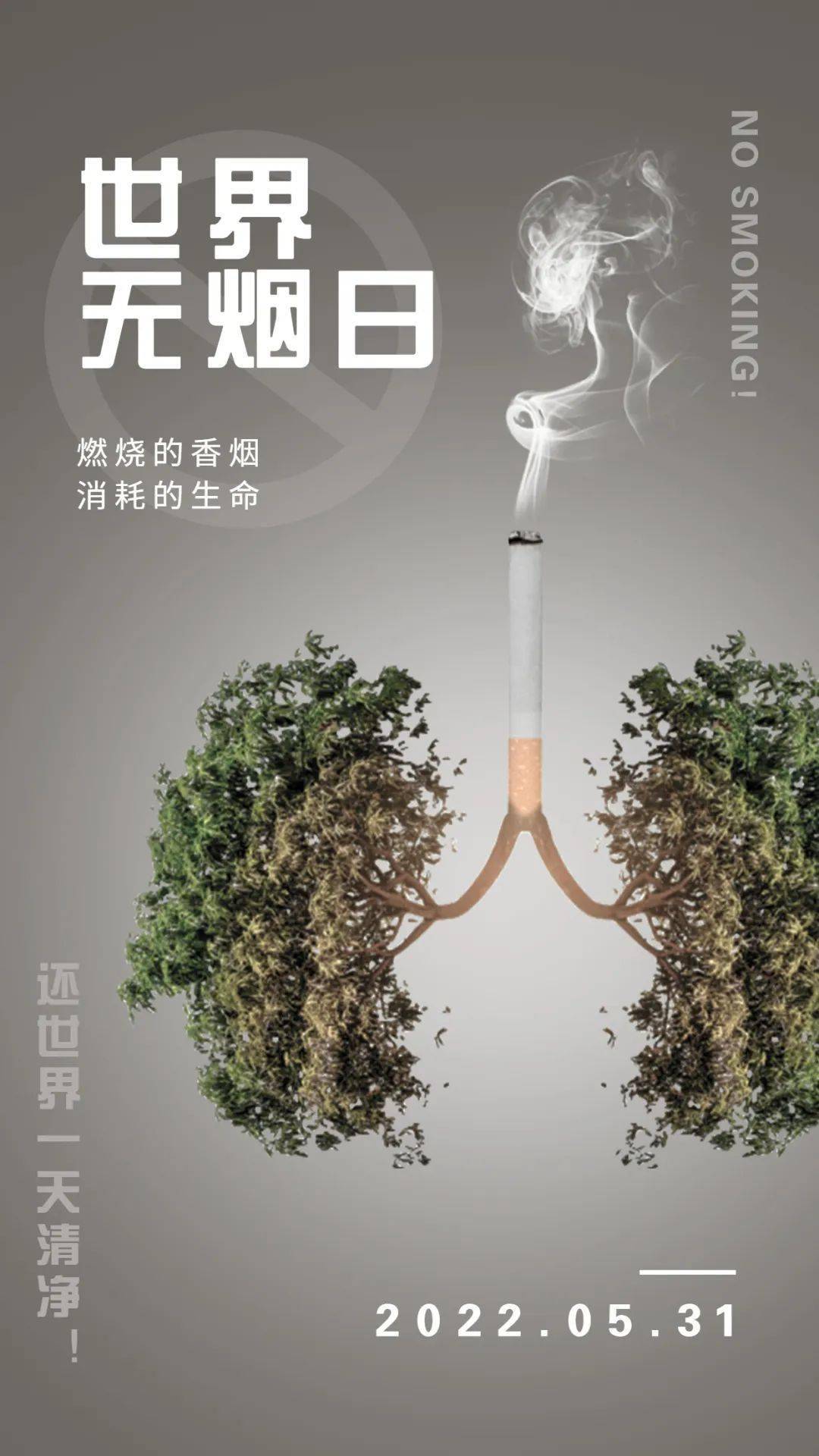 世界无烟日燃烧的香烟消逝的生命