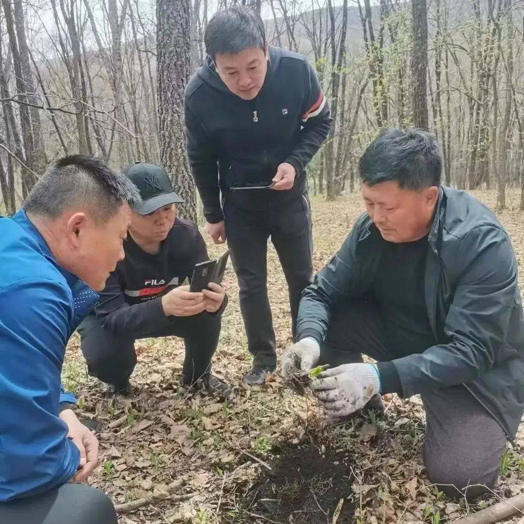 萝北：道地中药材开出乡村振兴“千金方” 建设 推广 特色