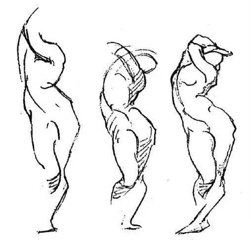 伯里曼——人体结构绘画教学