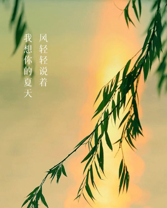 语不惊人死不休（307）“如果”是一个平行世界