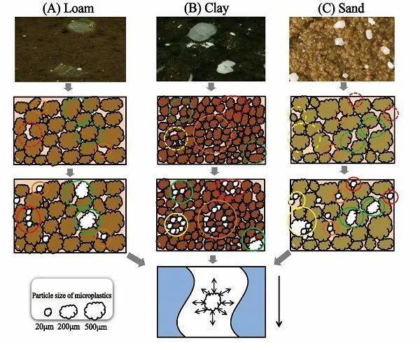 微塑料影响土壤水力特征研究取得进展_孔隙_机制_砂土
