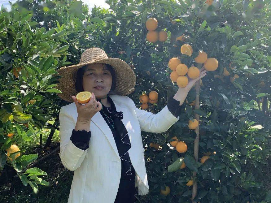 巾帼风采黄丽琼柳州市十大电商带头人不负时代不负韶华