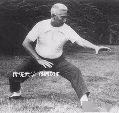 揭开大成拳意拳发力的秘诀