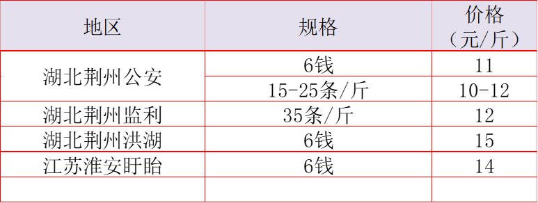 小龍蝦全國鮰魚價格以穩定為主,江蘇產區,河南產區的價格已經變化不大