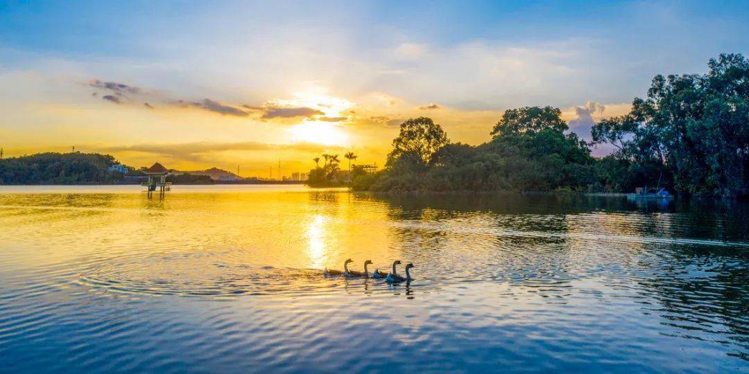 世界环境日东莞清溪湖光潋滟水天一色