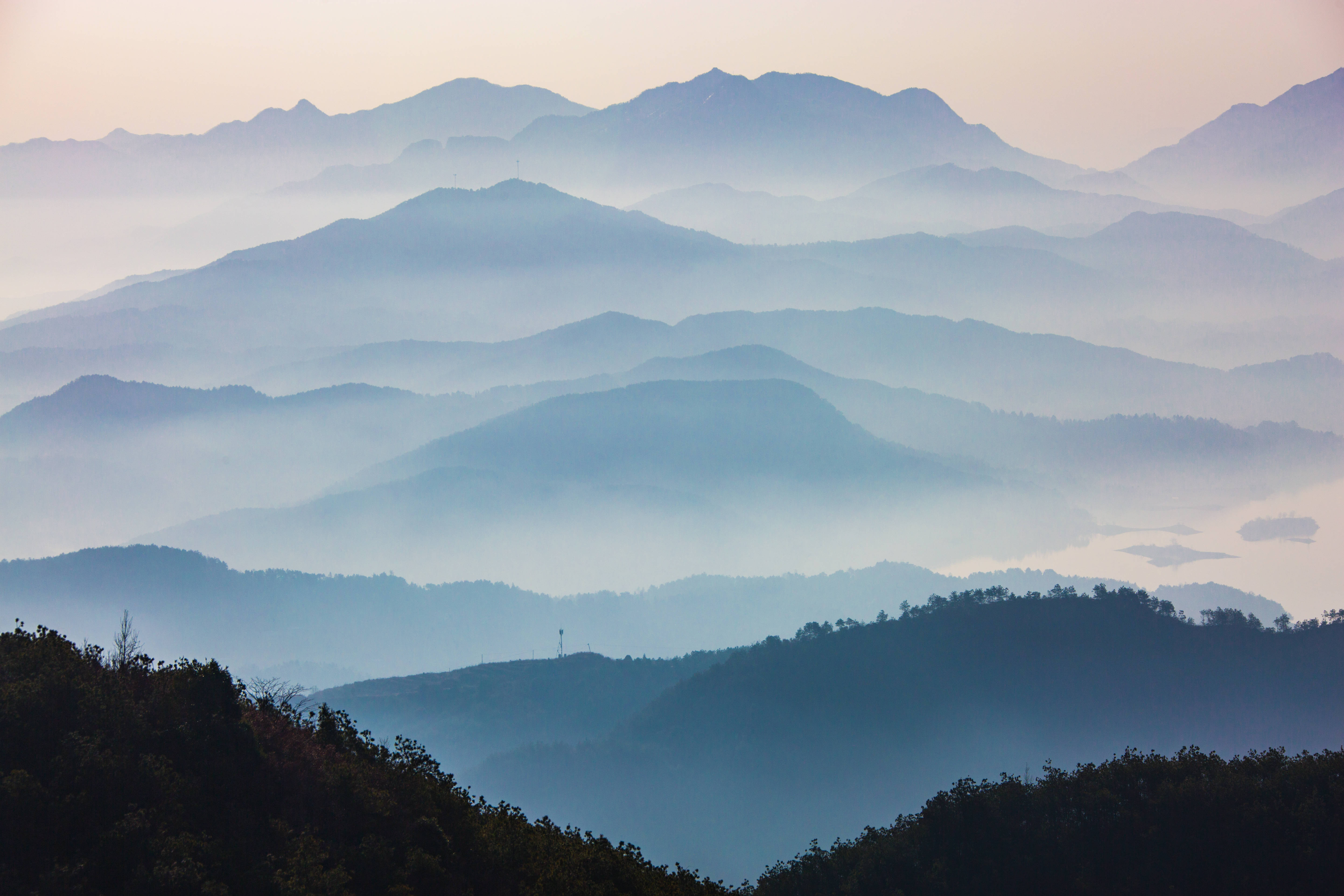 "生态白莲,最美湿地"摄影大赛启动_示范区_湖北省_保护