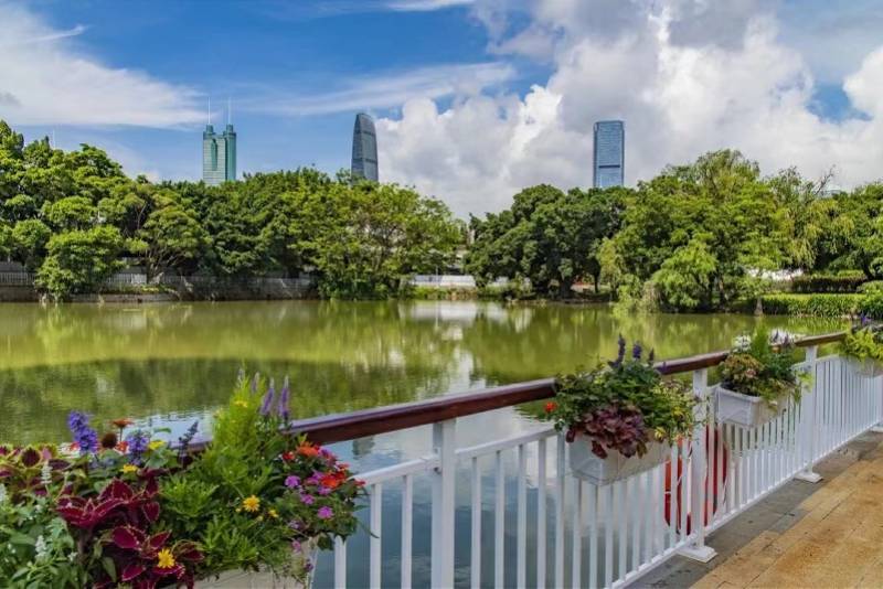 深圳人民公园恢复游园，开设月季书吧，需提前预约