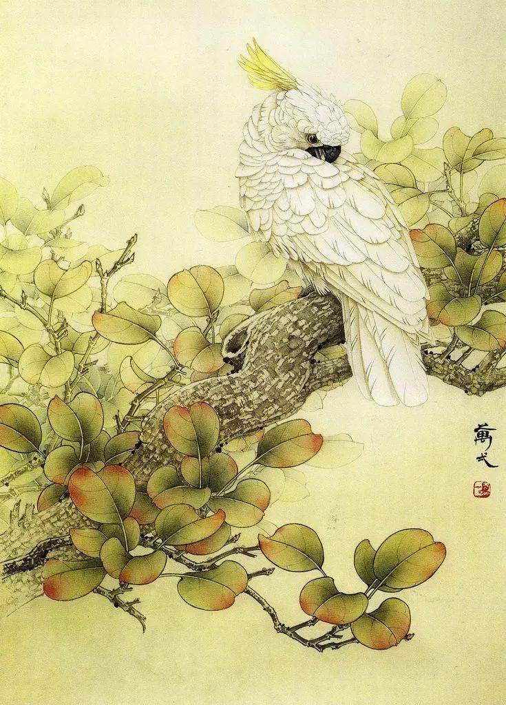 欣赏万一工笔花鸟作品40图写实清恬迷朦诗意