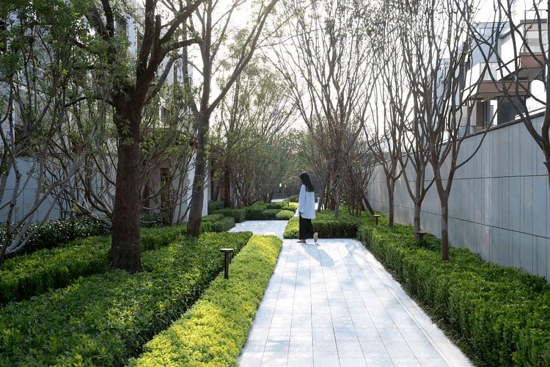 对比效果分析类似空间不同绿篱设计手法的效果对比:左图的绿篱压边,更