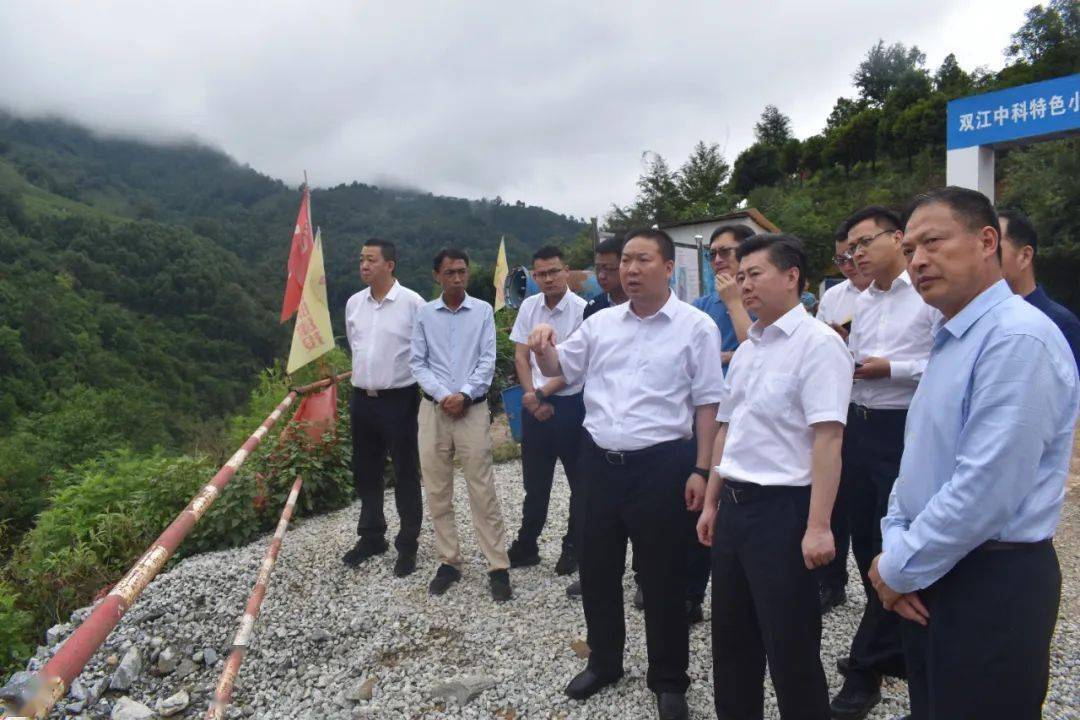 县委常委,常务副县长张龙的陪同下,陈祖军一行现场调研了双江县冰岛