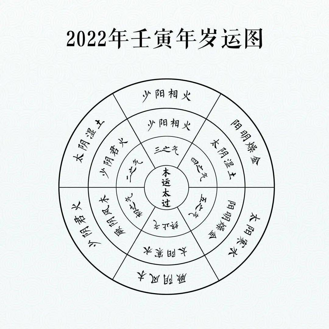 隨後,李振爽做了題為《壬寅(虎)年五運六氣分析與臨床應用》主題講座