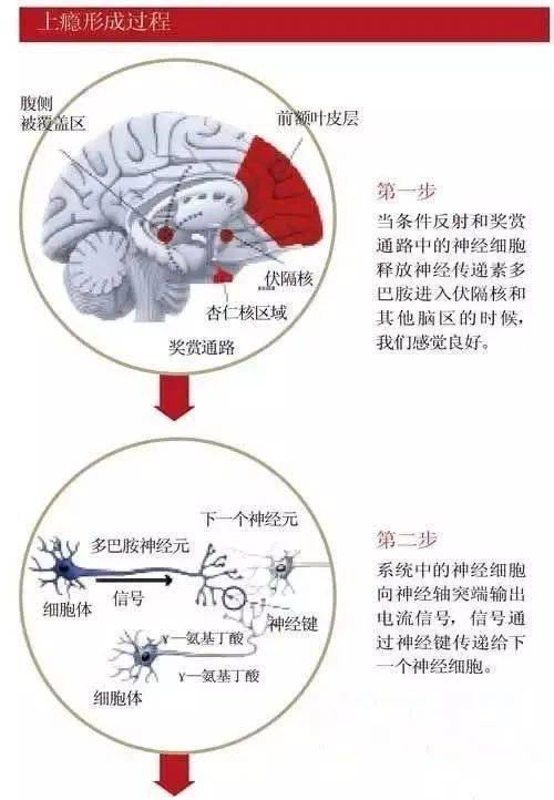 毒贩诱骗青少年的手段