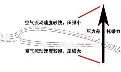 【手工教学】收藏好！这4款幼儿园科学小实验手工，让孩子1秒就爱上