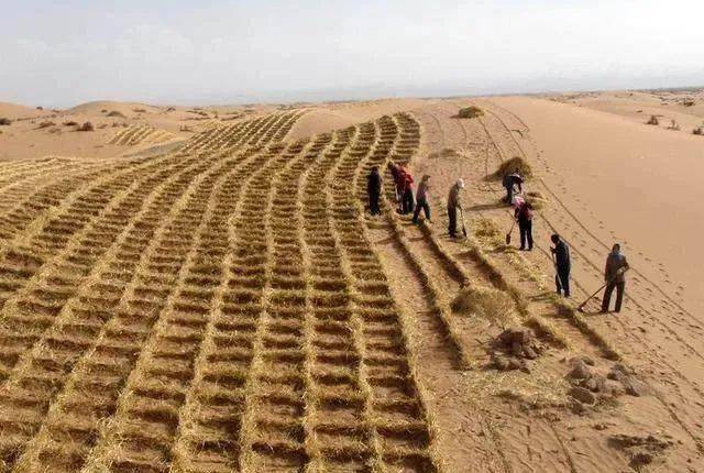 地理视角看草方格石方格高立式沙障三北防护林的考点分布