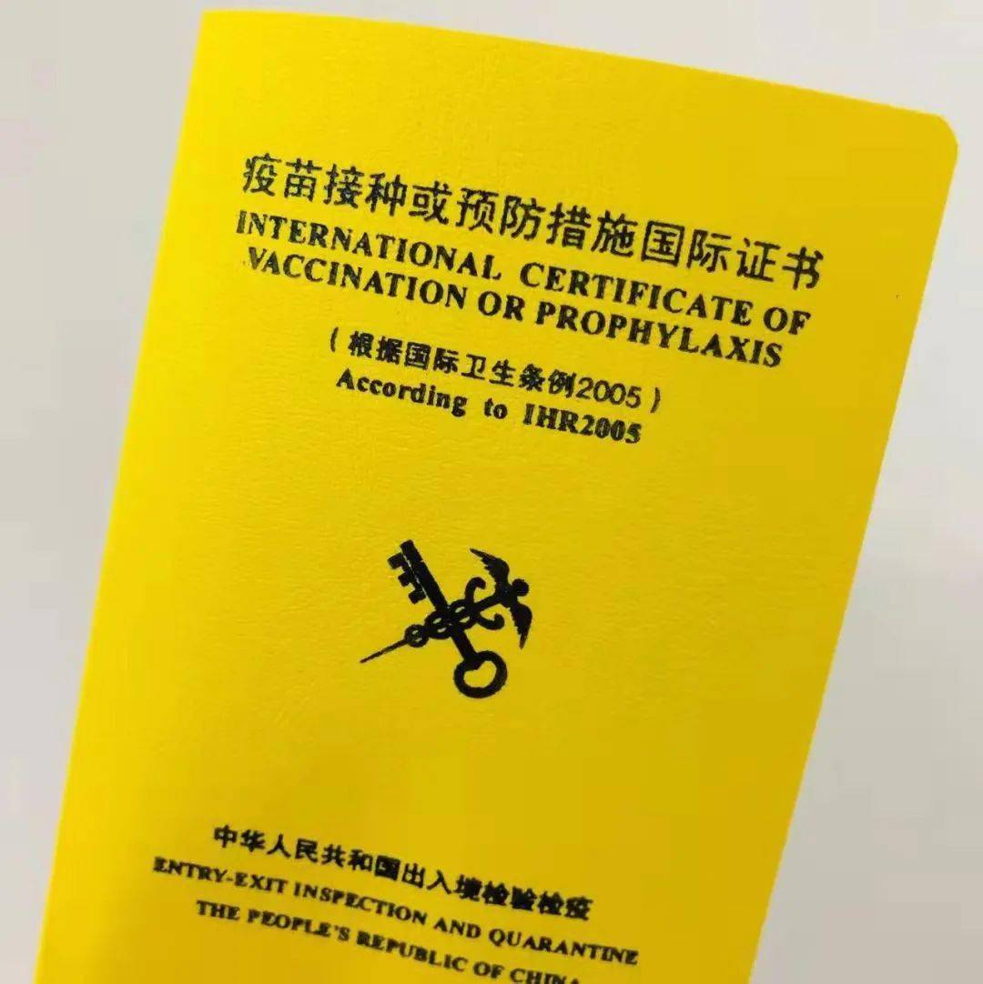 科普丨黄热病知识早知道