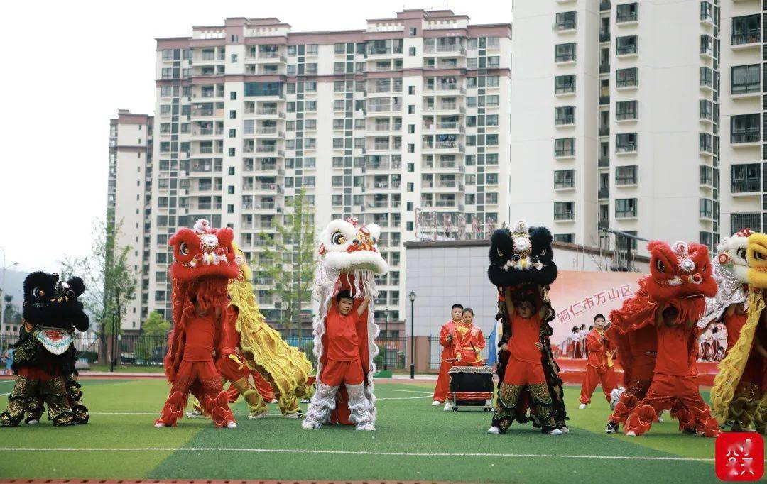 銅仁有支小小醒獅隊_協作_東莞_小學