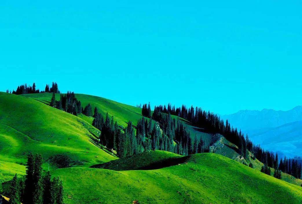 可做屏保养眼的绿 (图)_相册_图片_照片