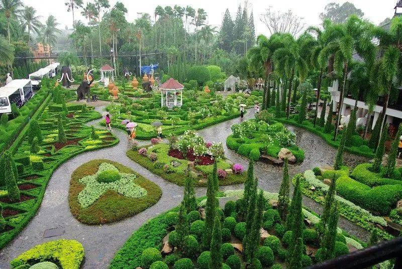 西部兰花生态园