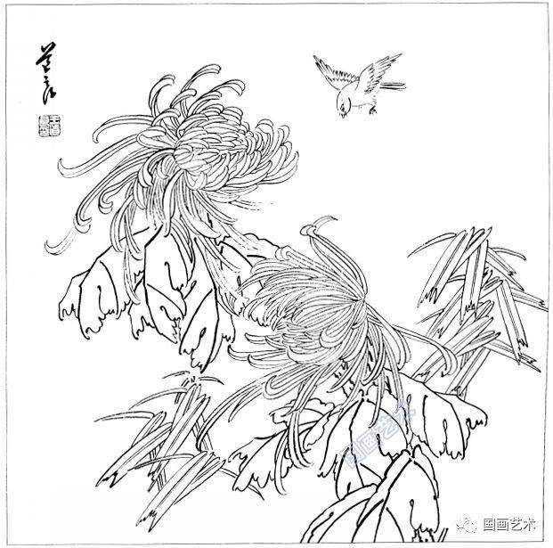 工筆畫白描花鳥需要的收藏