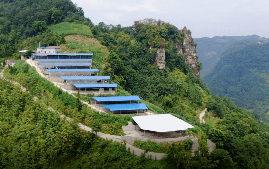 图说宜宾4a村筠连县沐爱镇金銮村