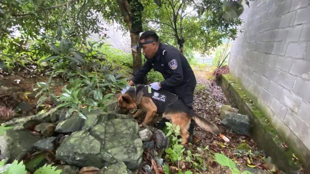 最先到达山上搜救的民警郑明星衣服裤子早已被划破,协助救援的警犬"