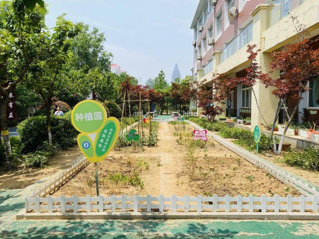 我校积极开辟了学生劳动实践基地——开心农场,组织学生积极开展劳动