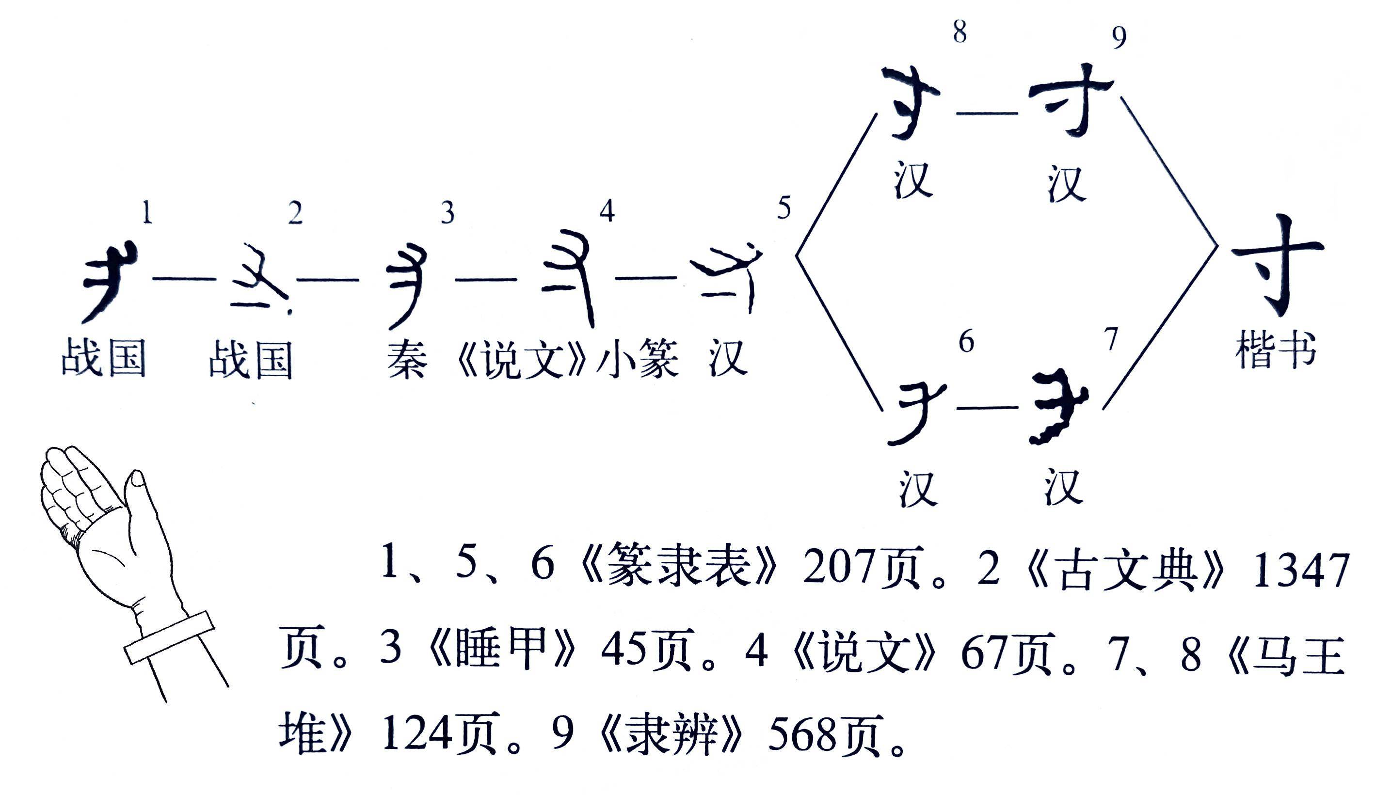 指事字演变过程图图片