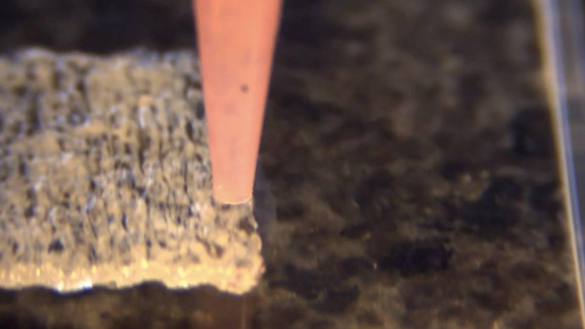 哈佛研究所开发 3D 打印心脏技术，打印出的心脏细丝自己还能长 