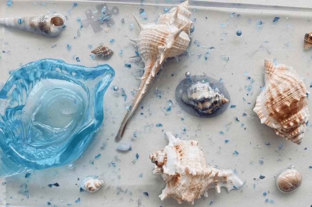 探究海洋标本制作续写海洋生命传奇高新区银海学校开展世界海洋日主题