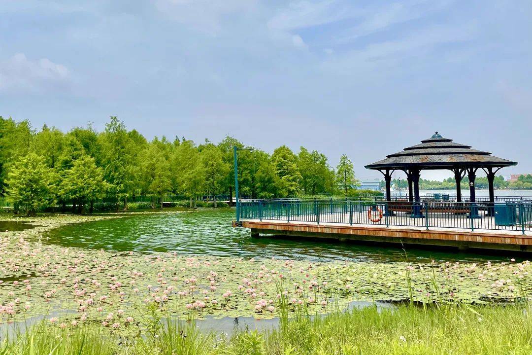 巨萌唐老鸭重返星愿湖星愿公园迪士尼世界商店及蓝天大道6月10日起