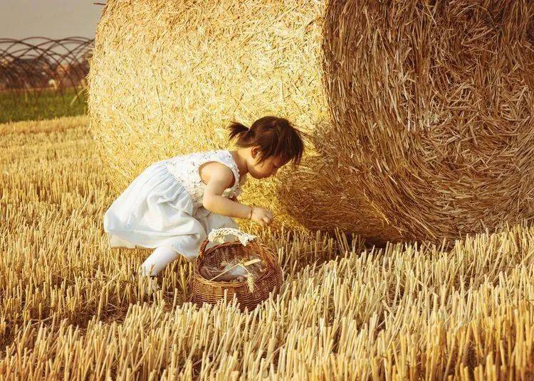 和朋友去麦田拍照,遇到一个三岁的小姑娘跟着奶奶一面玩耍,一面拾麦穗