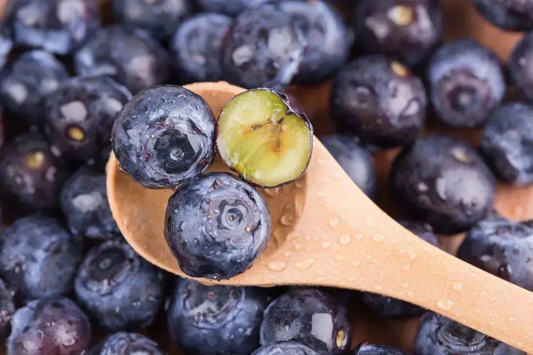 顺丰丨大果蓝莓花青素小巨人399元4盒499元500g枝串盒装生态种植现摘