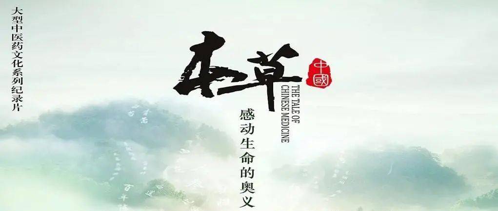 12集大型纪录片中医图片