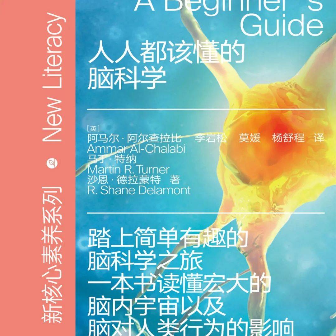 人人都该懂的脑科学（中）