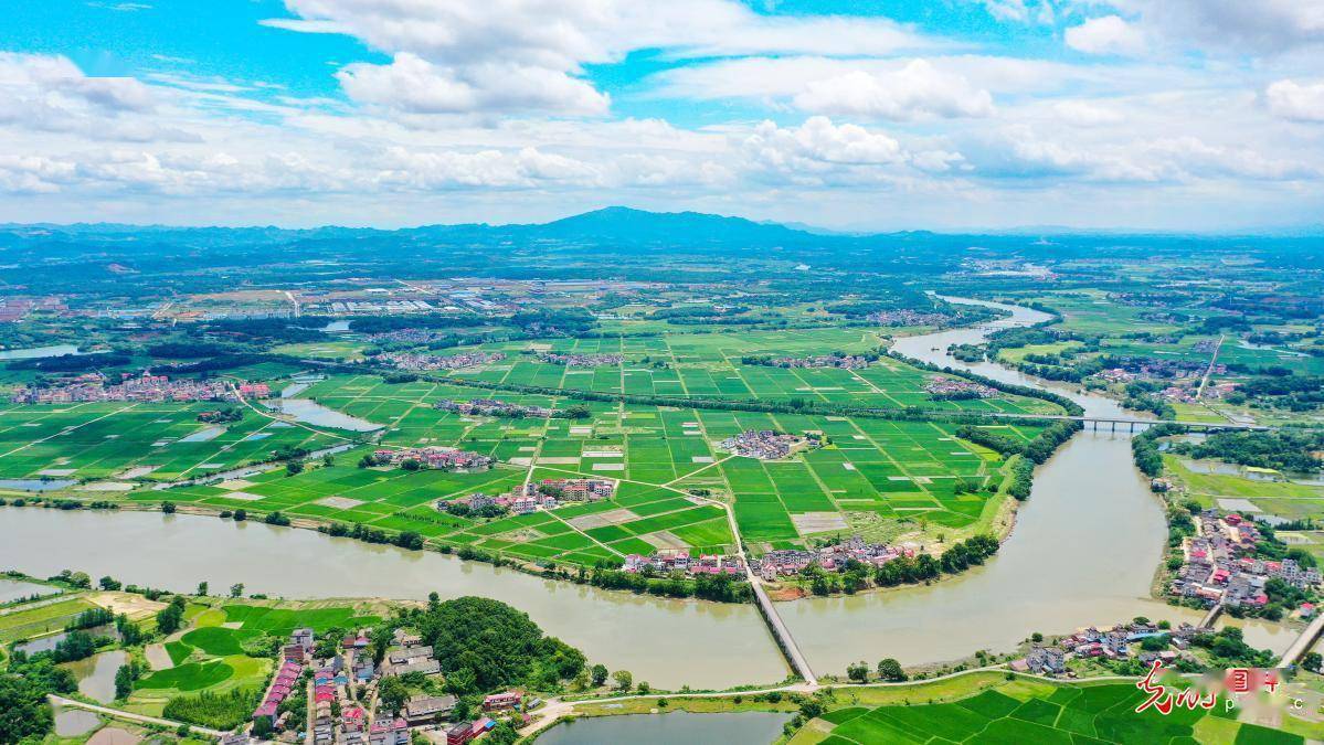 江西上高:初夏田园如画卷_陈旗海_上高县_新华村