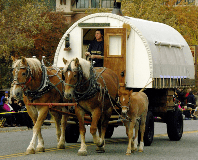 74 jump on the bandwagonwagon的意思常指四輪馬車,尤指19世紀美國