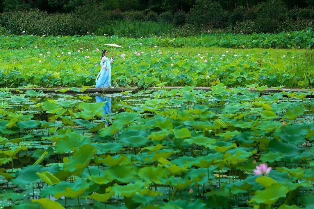 高考结束去哪玩这份资中旅游攻略请收好